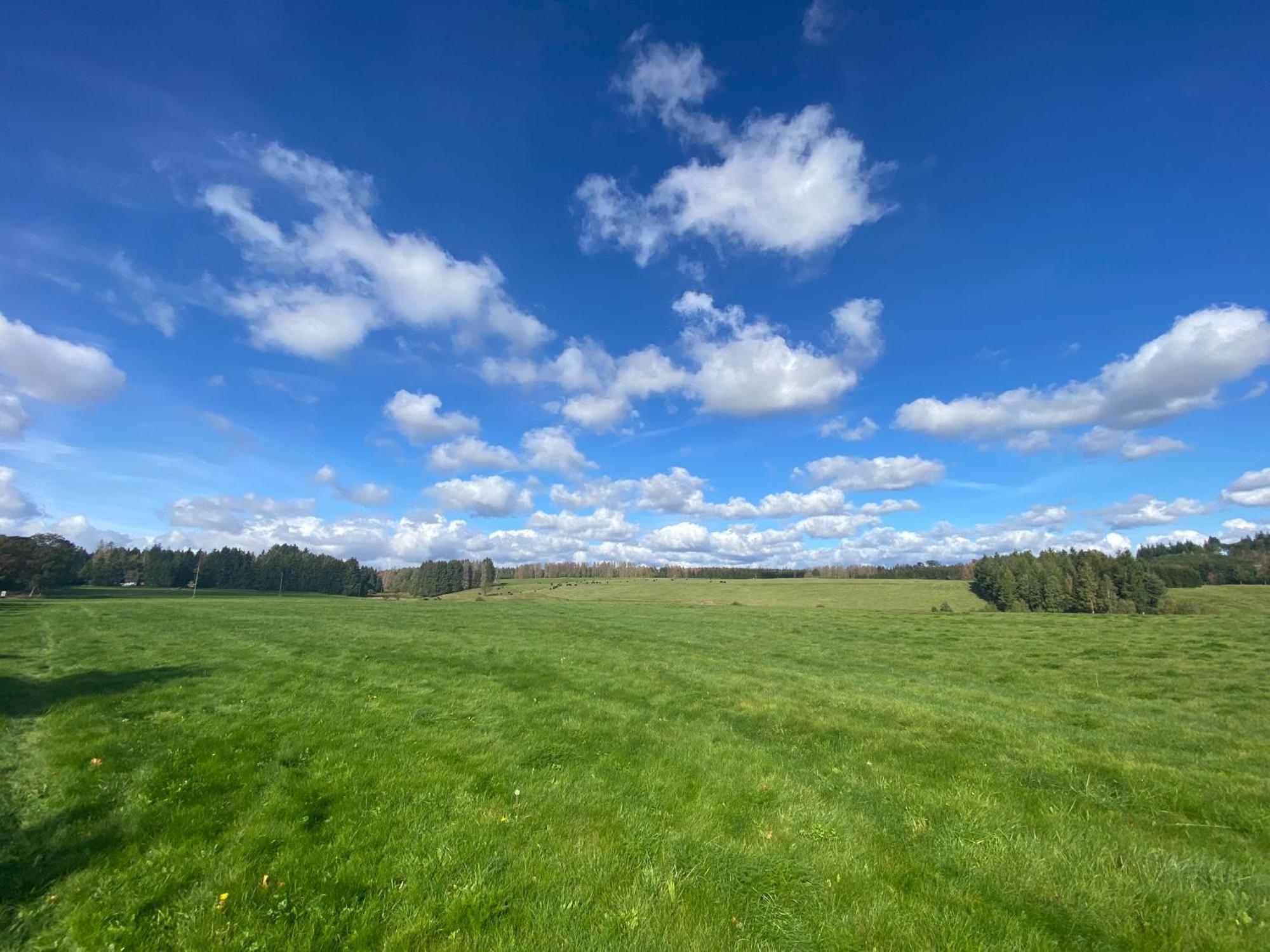 Ferienwohnung Harz #3, Pool, Sauna, Wlan Hohegeiß Exteriér fotografie